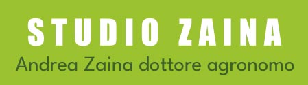 Avada Energy